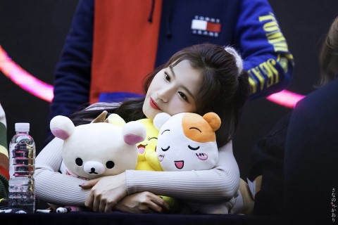 트와이스 사나 | 인스티즈