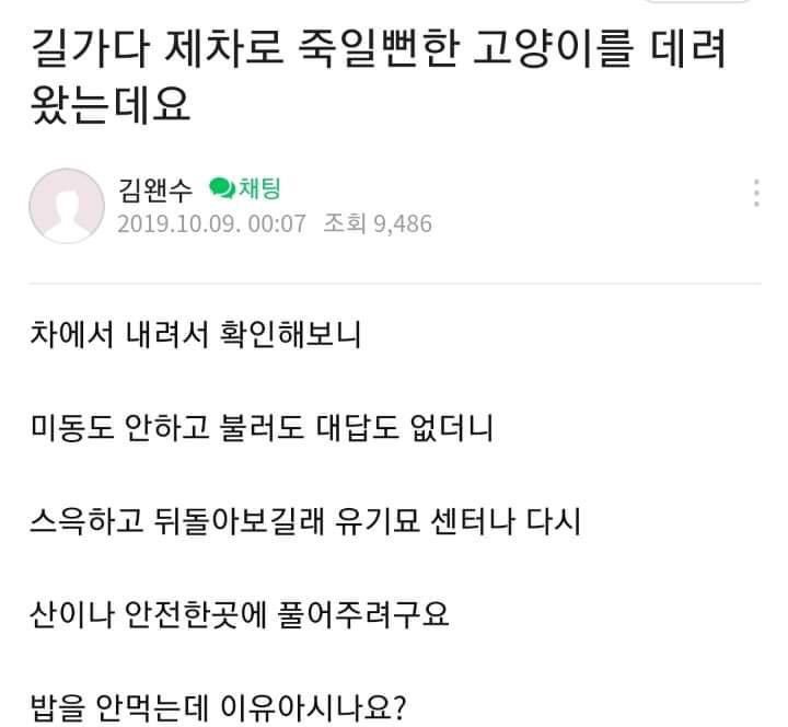 냥줍했은데 밥을 안먹네요......jpg | 인스티즈