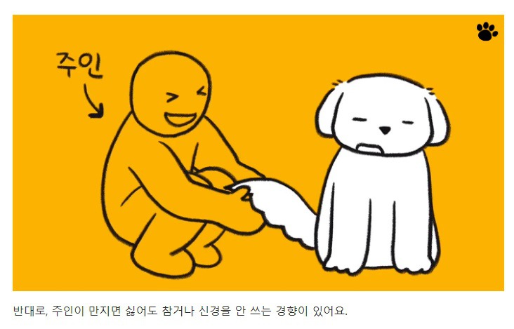 처음 만난 강아지와 인사하는 방법 | 인스티즈