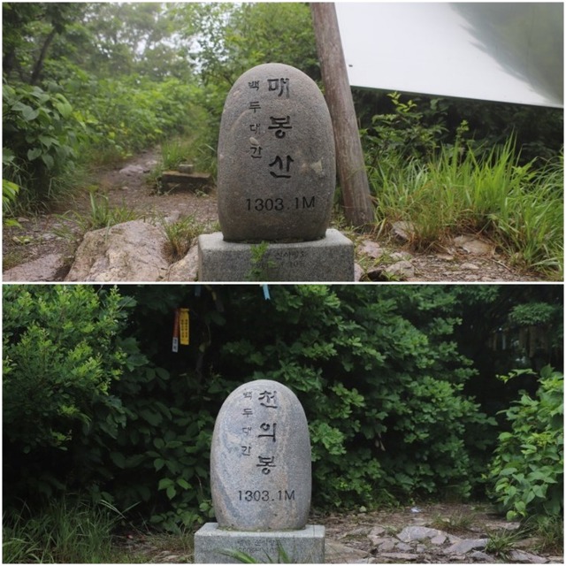 한반도ECO 이미지