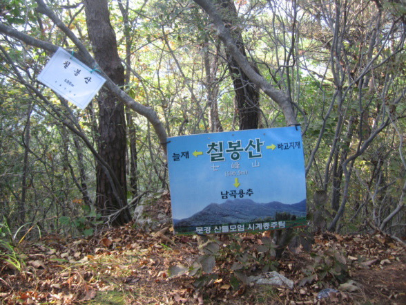 바고 이미지
