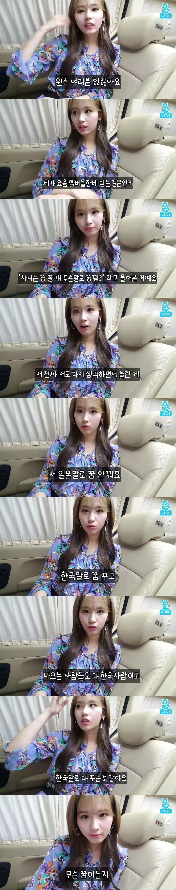 한국말로 꿈꾸는 사나 | 인스티즈