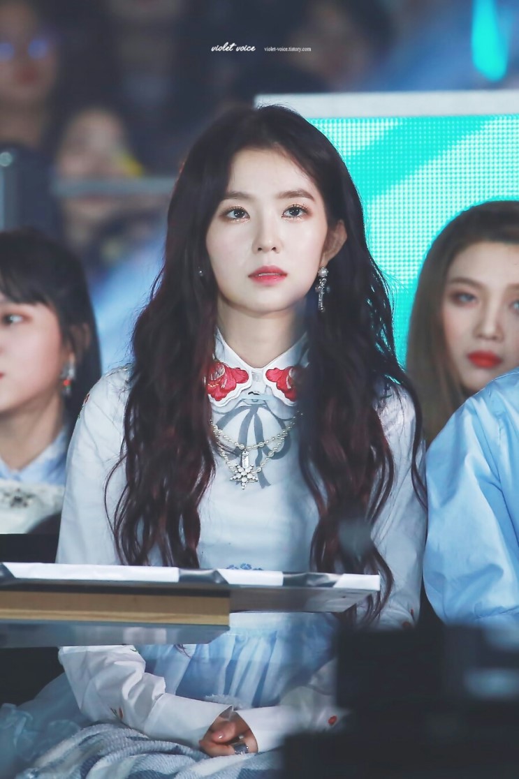  활동별로 보는 레드벨벳 아이린.jpgif | 인스티즈