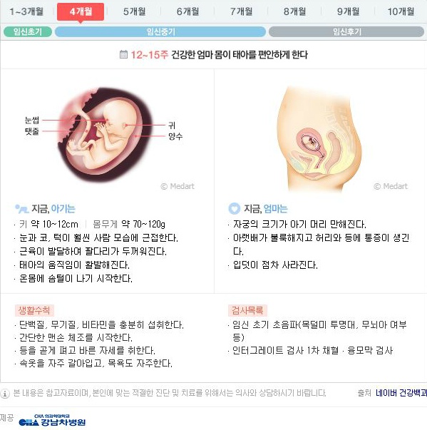 10달동안 무슨 변화가 일어나는걸까?: 임신 알아보기 | 인스티즈