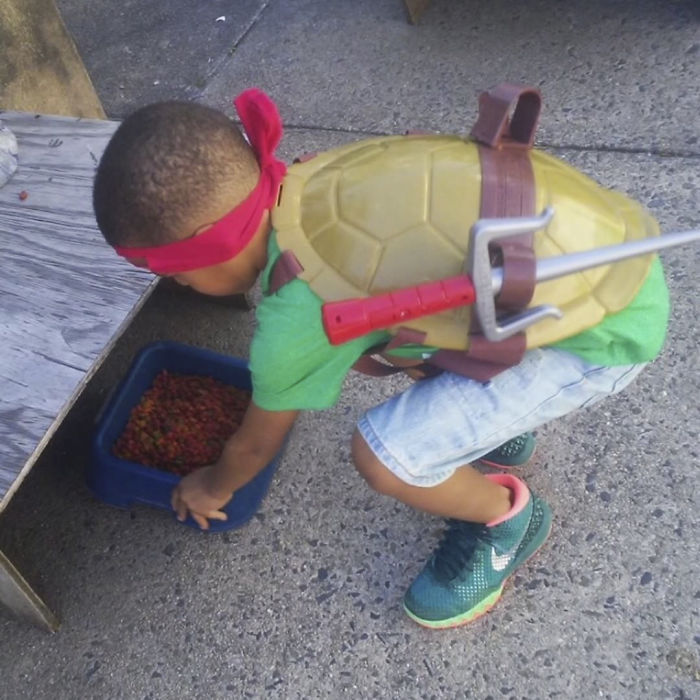 고양이들을 위한 수퍼 히어로 | 인스티즈