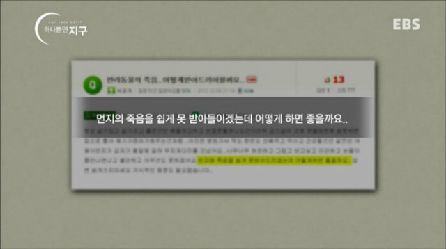 처음 반려동물 만났을때 너무 좋고 예뻐서 전혀 생각하지 못하는 것.jpg | 인스티즈