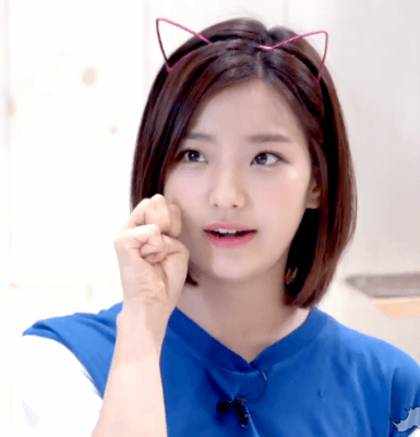 고양이 카페에 간 프로미스나인.gif | 인스티즈