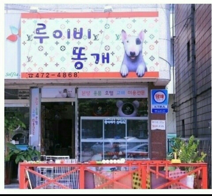 라라네 이미지