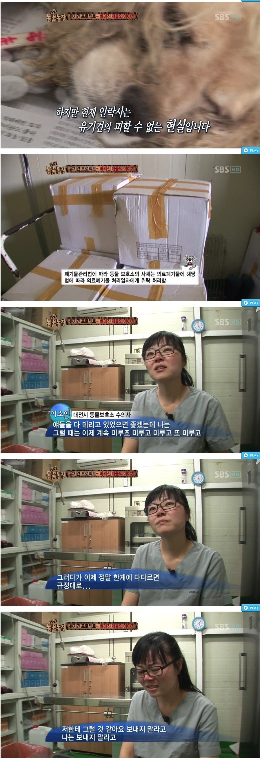 독한 마음을 먹지 않고서는 도저히 할 수 없는 직업 - 버려진 개들의 이야기.jpg | 인스티즈