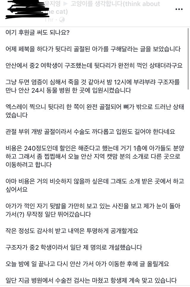다친 고양이 한번씩만 봐주라..!! 아직도 후원 중이야! | 인스티즈
