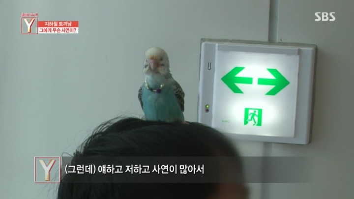 지하철에 토끼를 데리고타던 토끼남 그의 사연 | 인스티즈