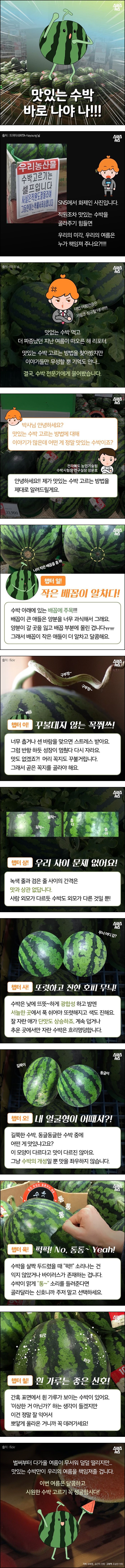 맛있는 수박 고르는 방법 | 인스티즈