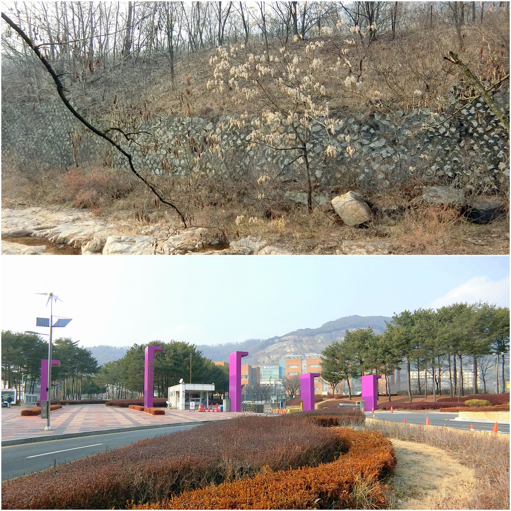 국제상사 이미지