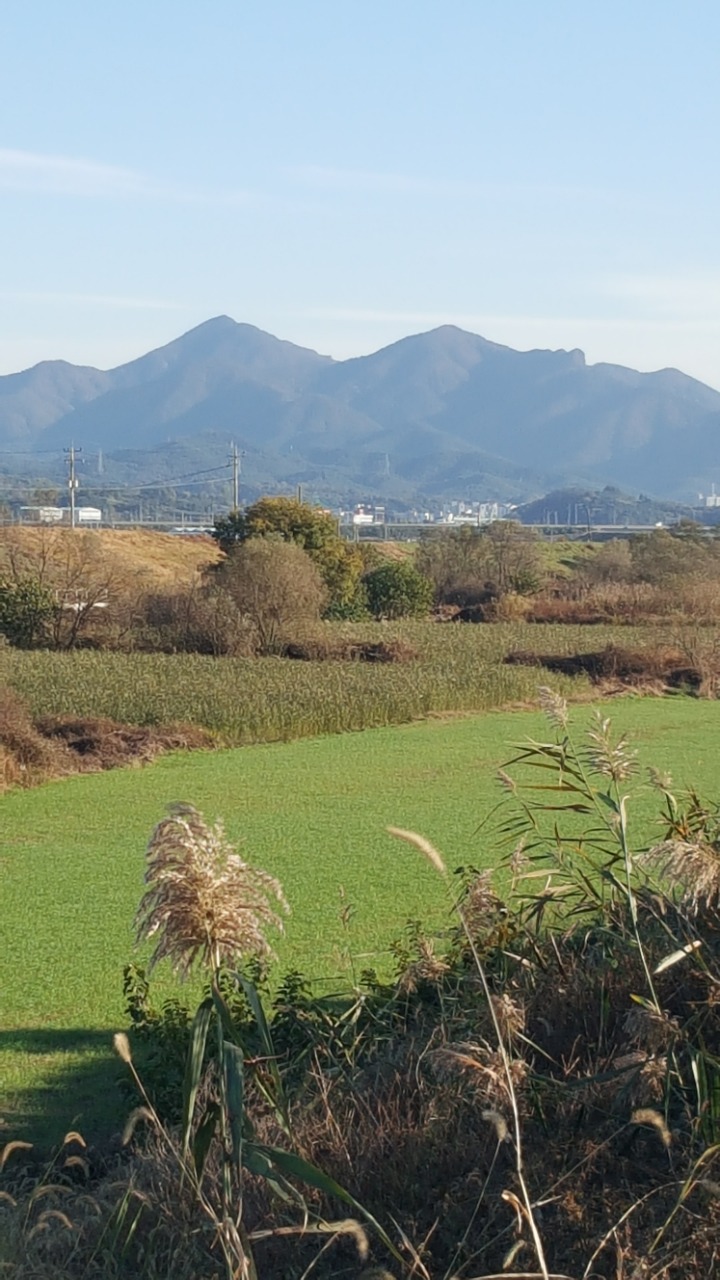 미산 이미지