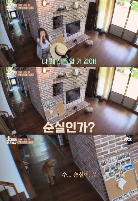 효리네 친박 | 인스티즈