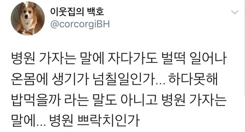 댕댕이의 고정픽은 동물병원 원장님 | 인스티즈