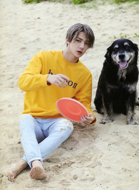 예쁜걸 이미지