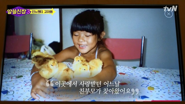 [알쓸신잡3] 유시민이 인노센트 고아원에 가서 울컥한 이유 | 인스티즈