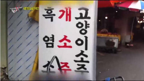 시골 어르신들이 무릎에 좋다고 먹는 고양이 | 인스티즈