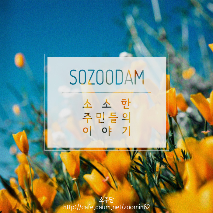 차라리 날 죽여...라는 제목으로 올라온 글(feat 집사).jpg | 인스티즈