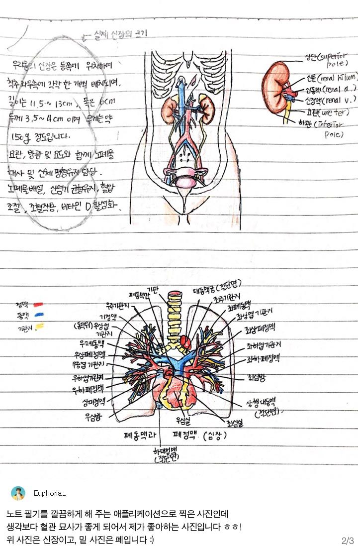 공부욕구 생기는 노트필기들 | 인스티즈