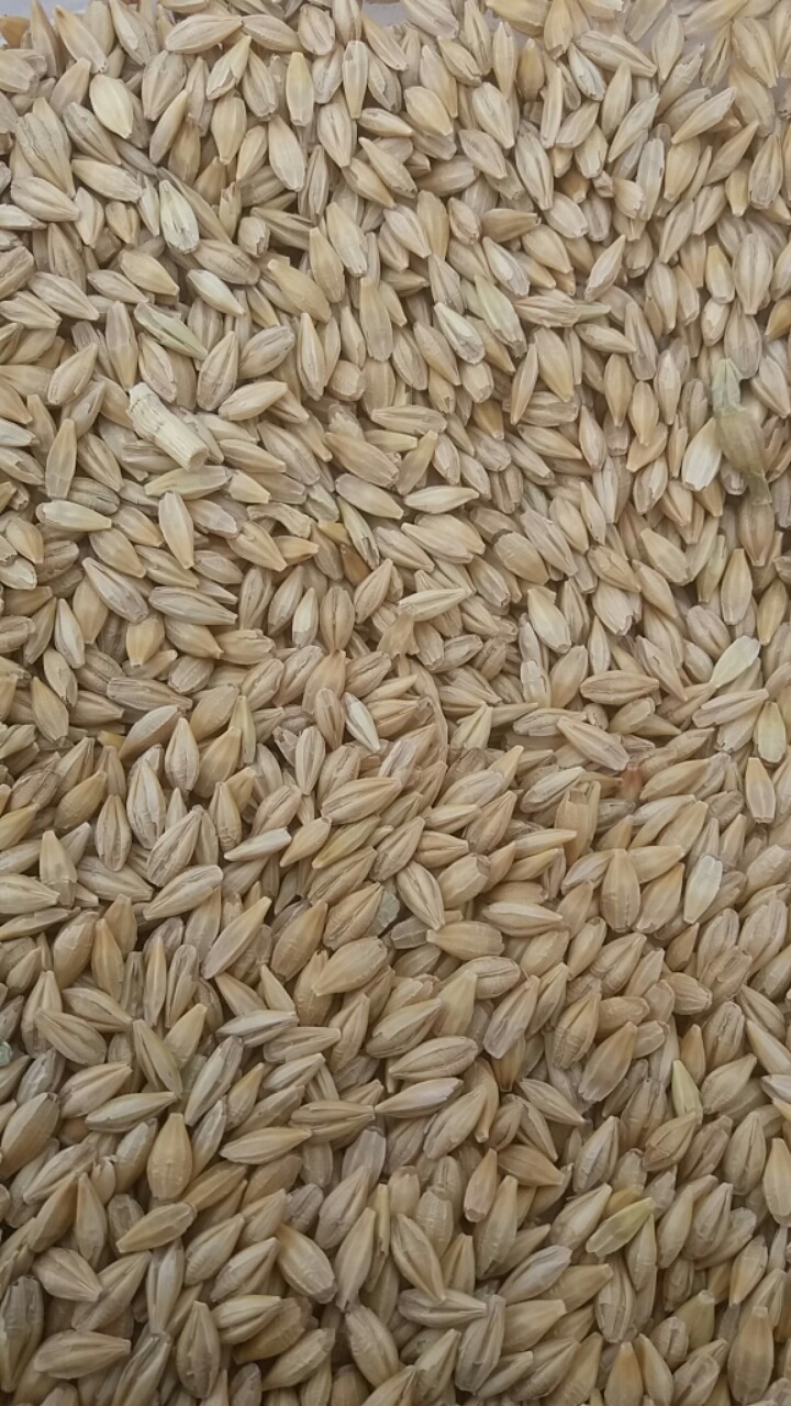 요맛 이미지