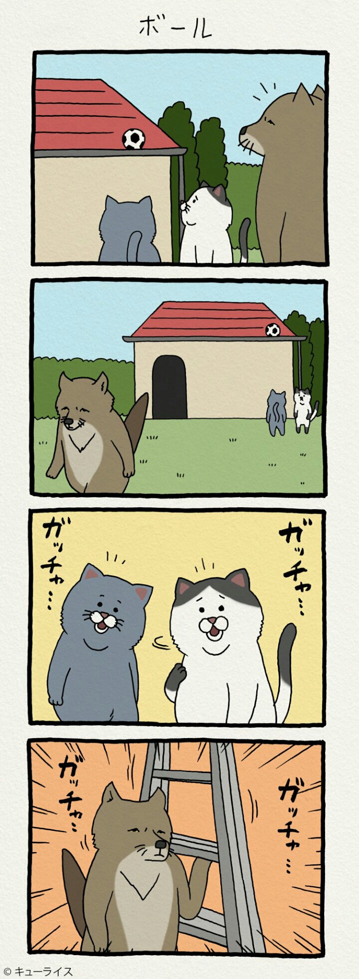 핸넘들이 본받아야하는 개념남 티벳여우 아죠씨 | 인스티즈