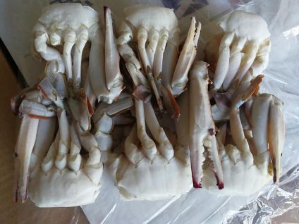 수산냉동 이미지