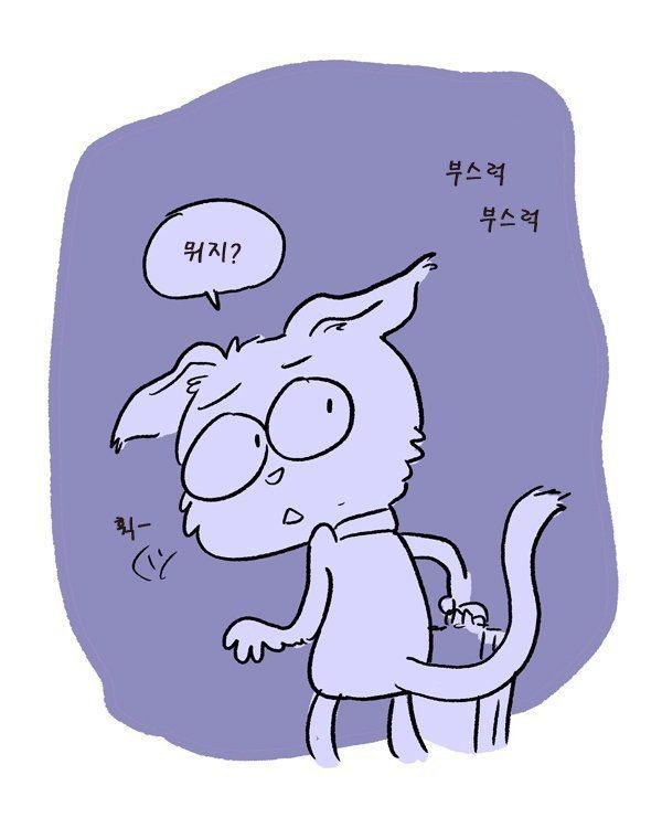길잃은 고양이의 최후 ㅠㅠ | 인스티즈