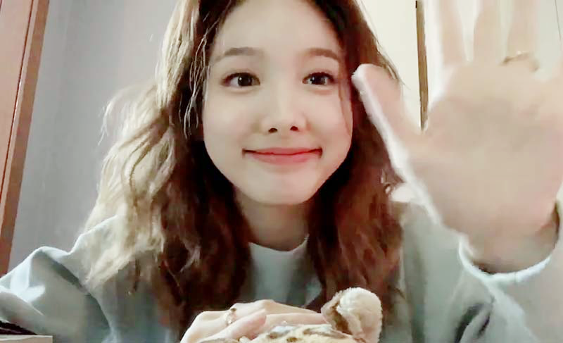 twice 200319 V 라이브 - 원스으응 + 저녁추천 | 인스티즈