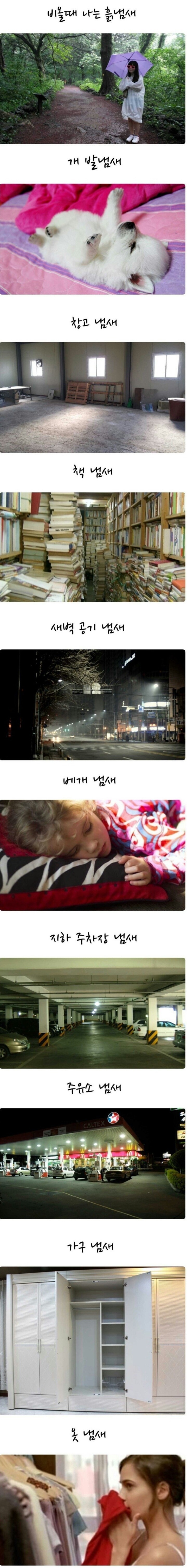 사람들이 좋아하는 냄새 | 인스티즈