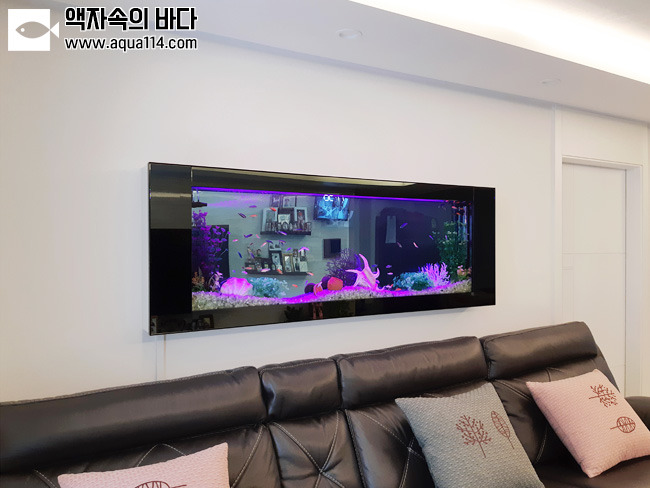 행복한수족관 이미지