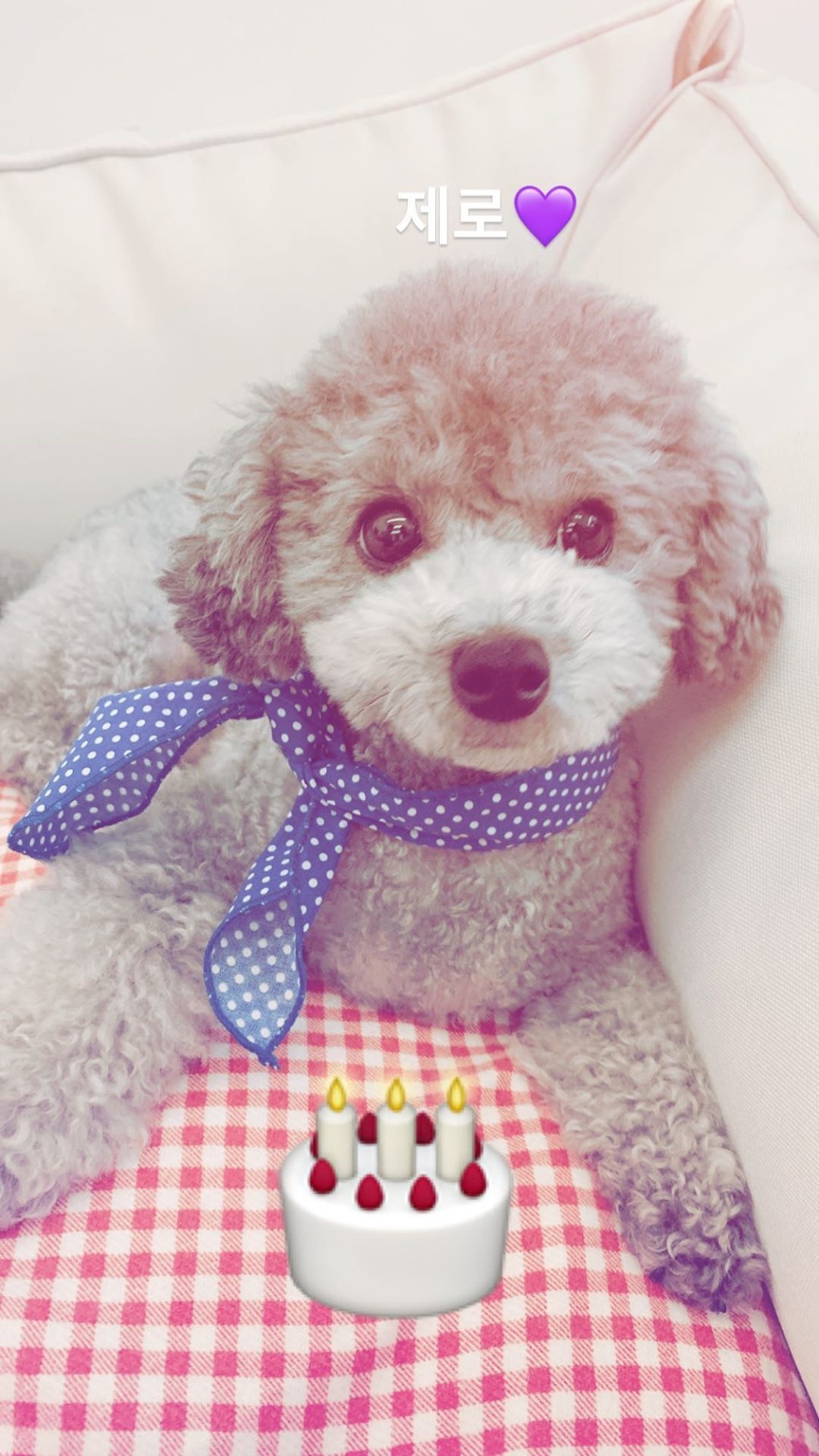 9993DF415F3ECFEF081AA0