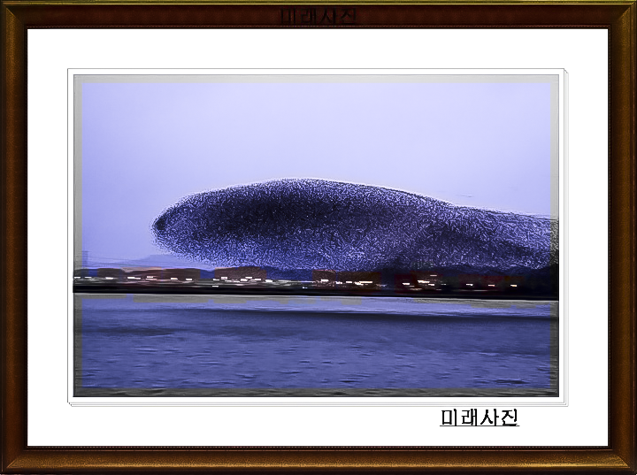 오리창고 이미지