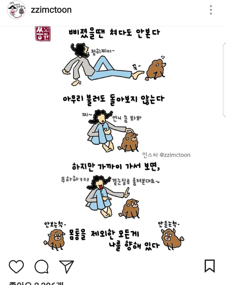 버려지는 강아지랑 고양이입장 | 인스티즈
