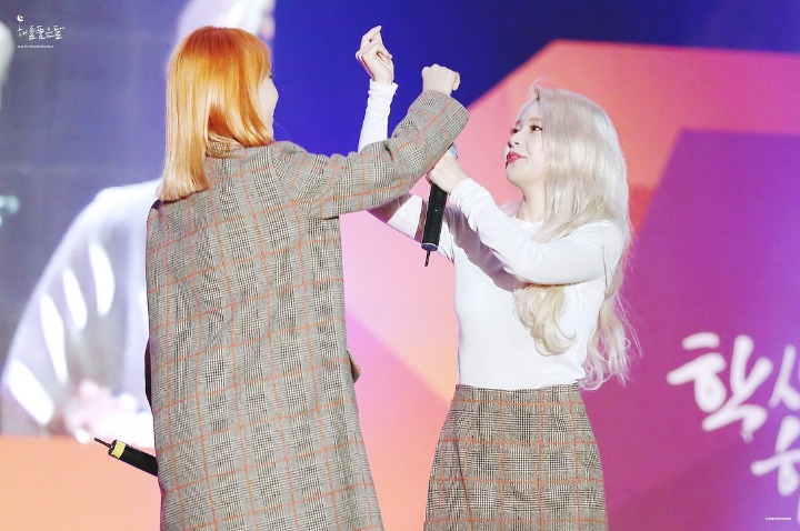 별콩 이미지