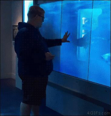 ??? : 이 유리는 튼튼한가? | 인스티즈