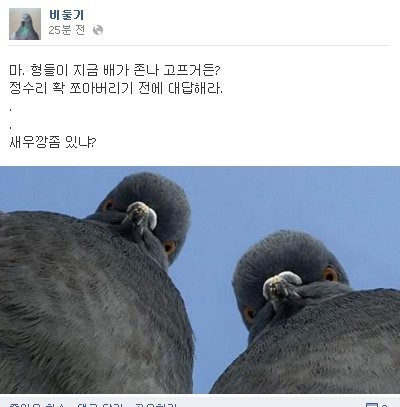 새우깡 먹고 싶은 비둘기 | 인스티즈