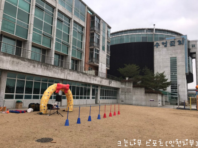 수정스포츠 이미지