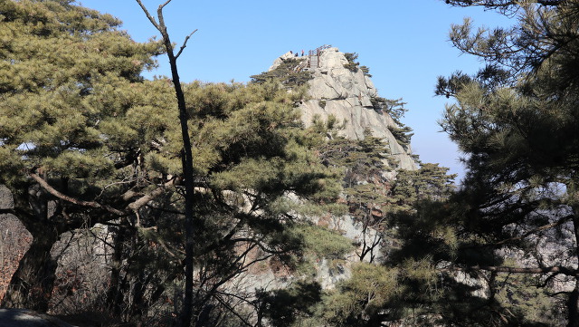 99A510475CF9CE19232DF5