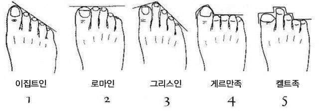 당신의 발가락은? | 인스티즈