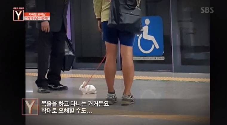 지하철 토끼남의 사연 | 인스티즈