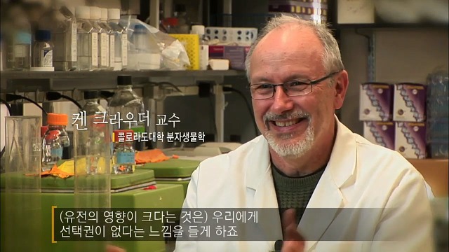 사람의 성격에 가장 많은 영향을 미치는 것 | 인스티즈