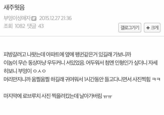 디씨의 부엉이 주운썰..jpg | 인스티즈