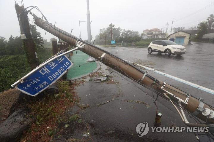 솔릭이 강타한 제주도 상황.jpg | 인스티즈