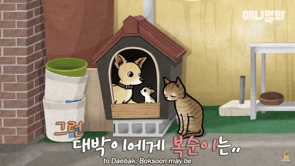 아기 고양이를 능숙하게 키우는 강아지의 사연은? | 인스티즈
