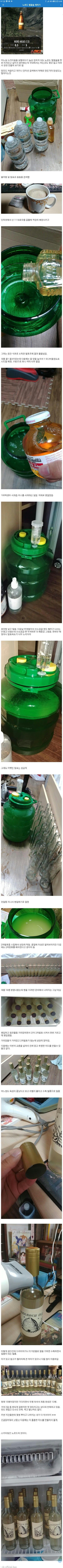 디시인의 스카이림 벌꿀술 제작기 | 인스티즈
