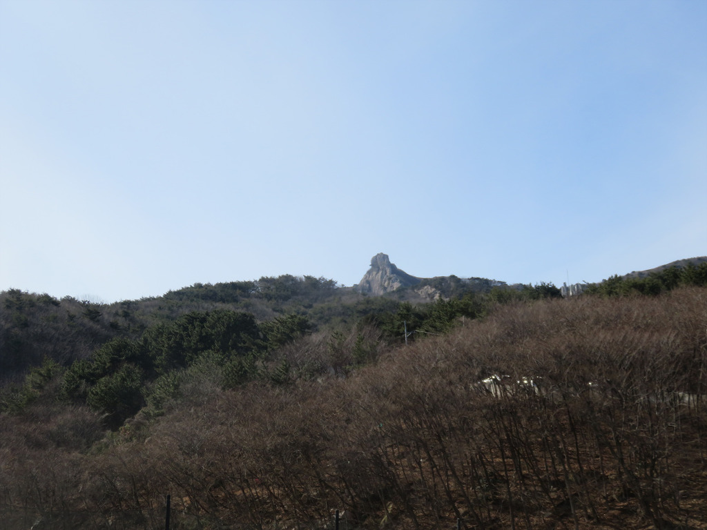 장전초등학교 이미지