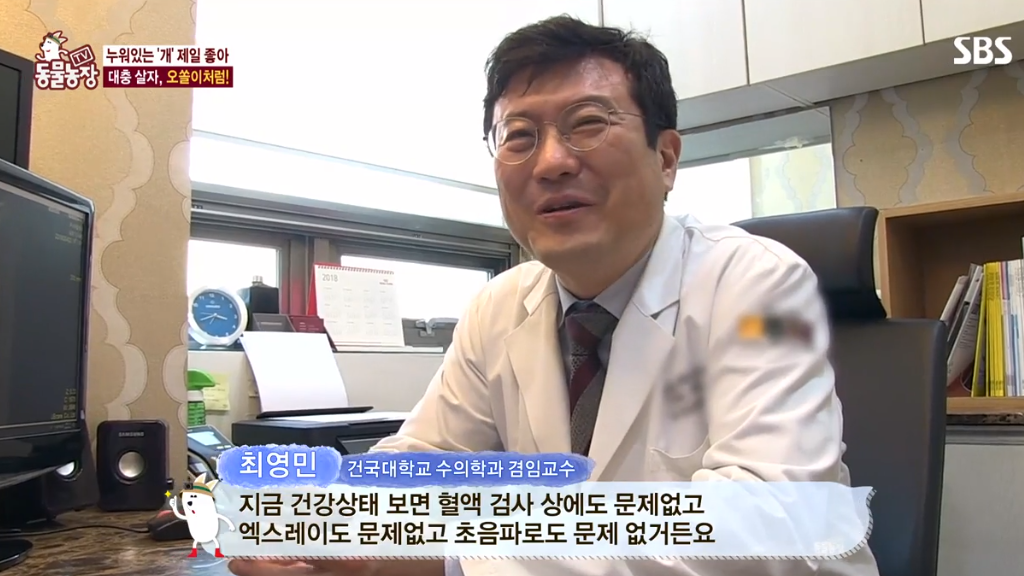 [동물농장] 누워있길 좋아하는 강아지 오쏠이 | 인스티즈