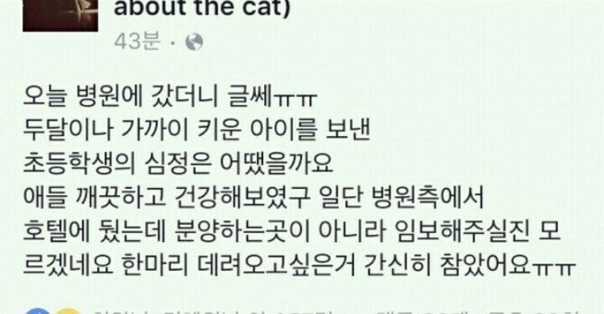 동물병원에 고양이를 부탁한 초등학생.jpg | 인스티즈